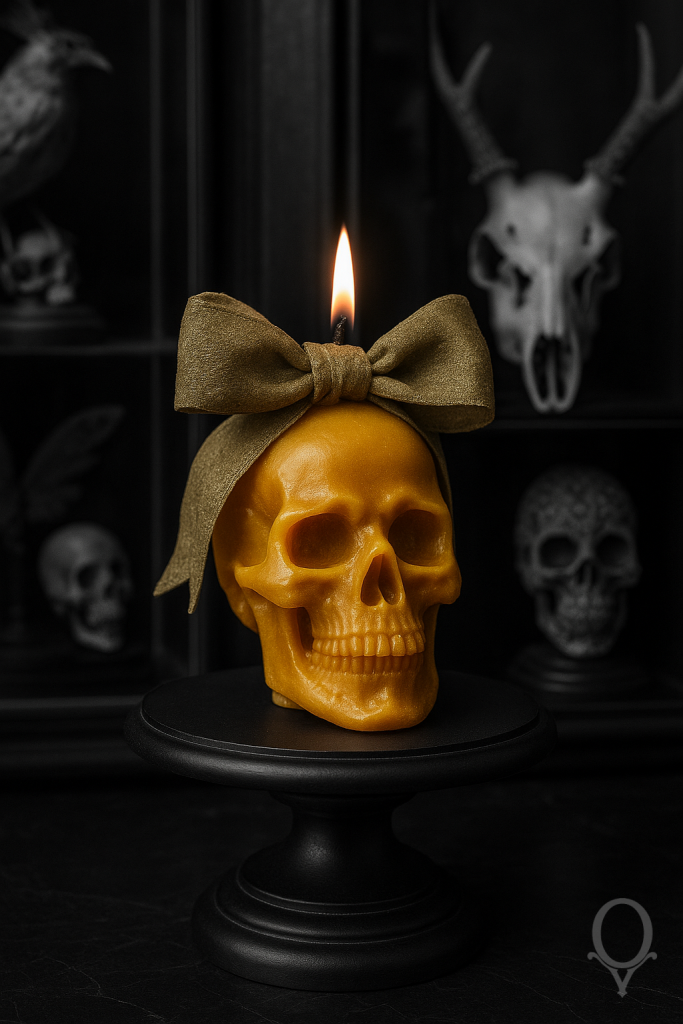 affiche d'identité visuelle omnia vanitas, vanité crâne bougies skulls